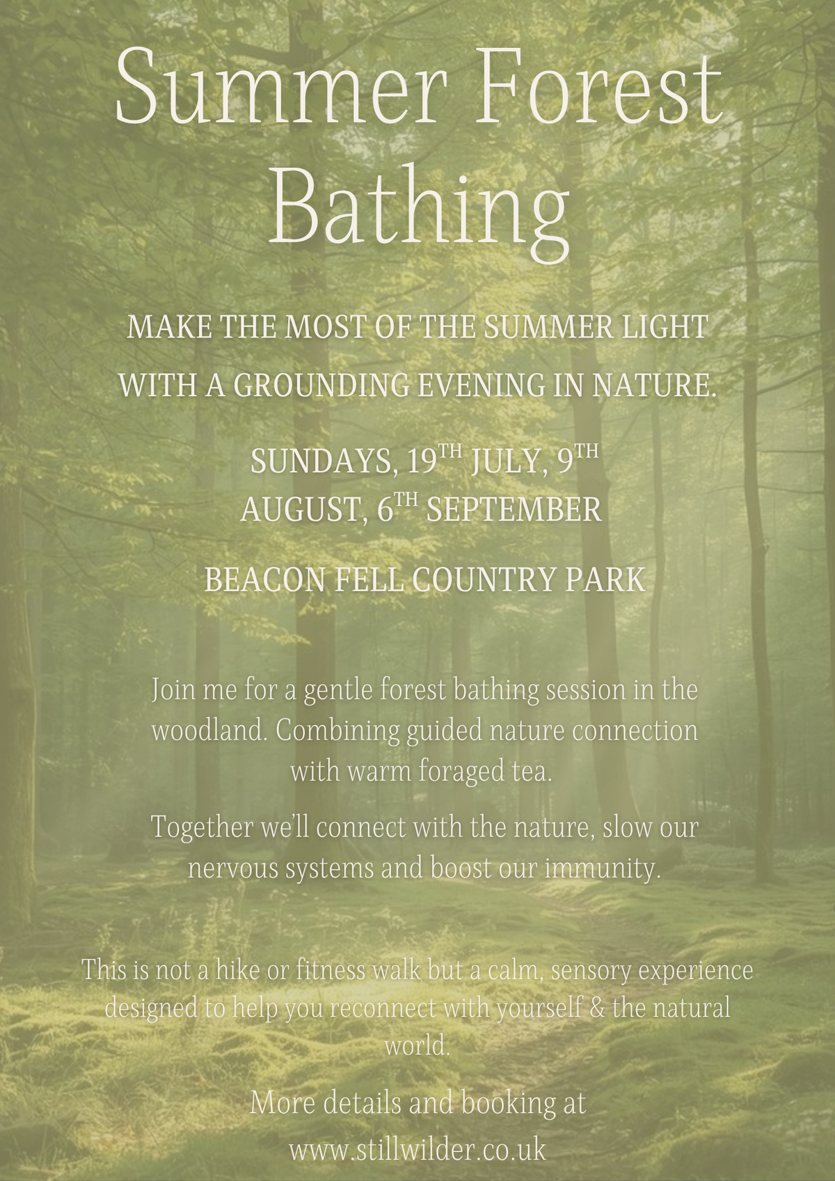 Summer Forest Therapy  - Beacon Fell - Sunday