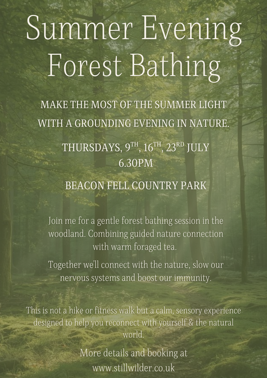 Summer Forest Therapy  - Beacon Fell - Thursdays 6.30pm