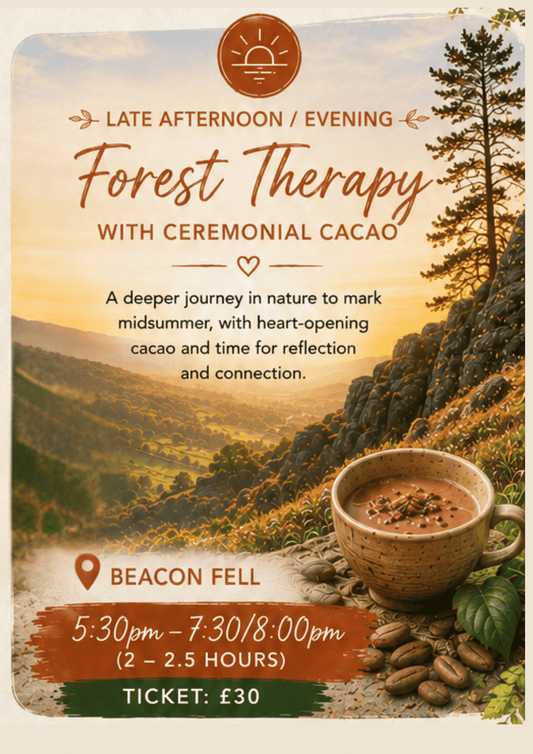 Summer Solstice Forest Therapy - Beacon Fell - Evening 21st June